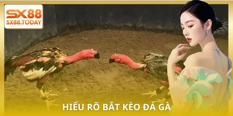 bat-keo-da-ga-hieu-ro