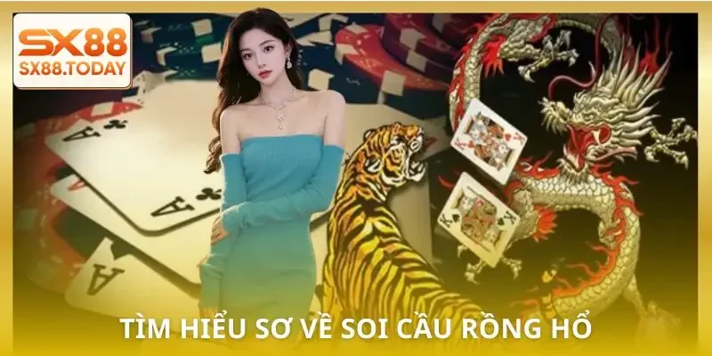 soi-cau-rong-ho-hieu-so