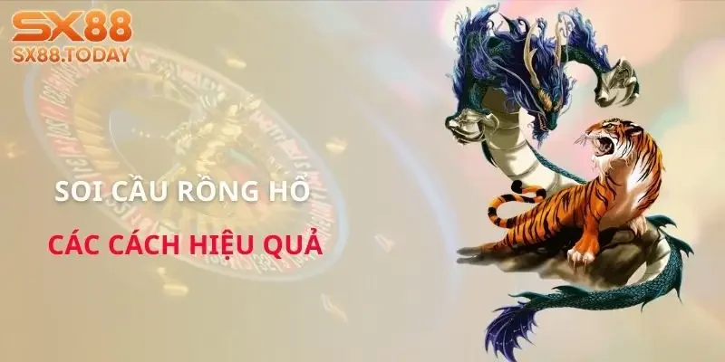 soi-cau-rong-ho