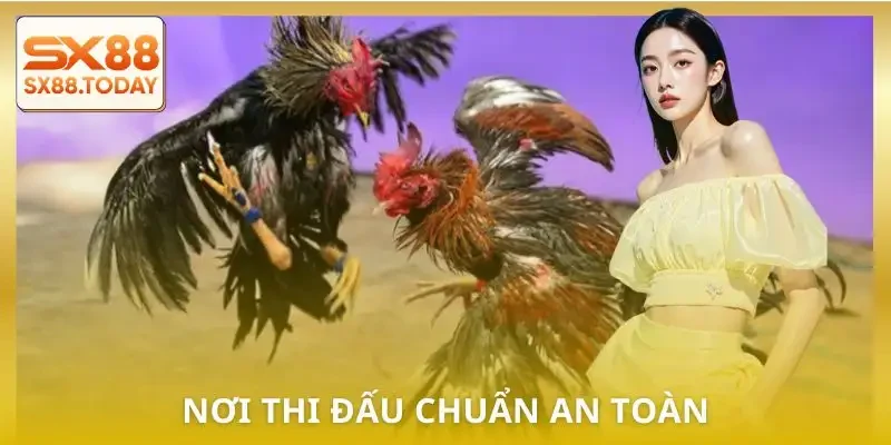 truong-ga-hop-phap-da-ga-noi