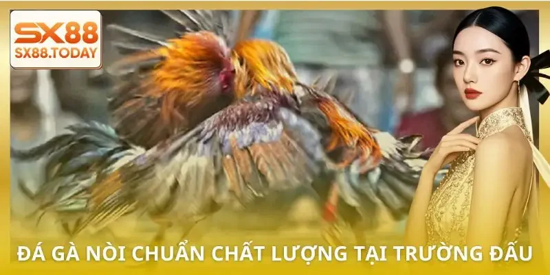 truong-ga-hop-phap-kinh-nghiem