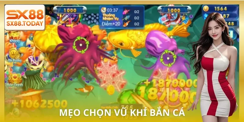 vu-khi-ban-ca-meo-chon